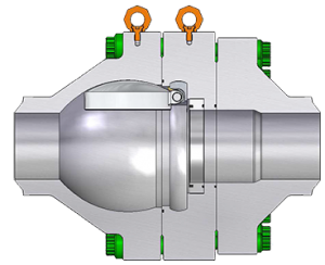 Compact Check Valve