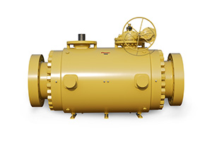 Custom DoubleTrunnion Mounted Ball Valve 01