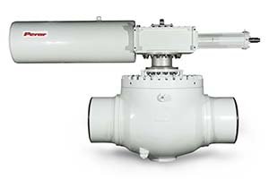 Top Entry Trunnion Mounted Ball Valve 01