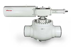 Top Entry Trunnion Mounted Ball Valve 02